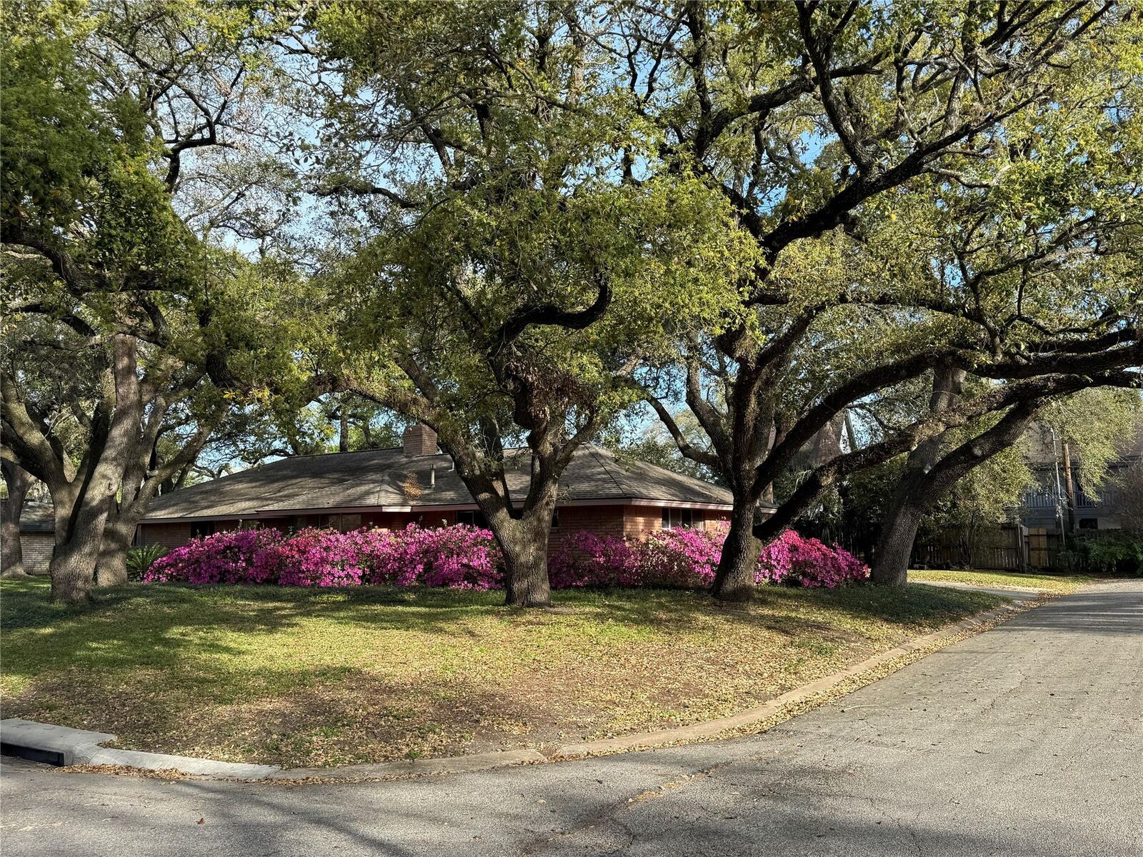 Property Photo:  7702 Nairn Street  TX 77074 