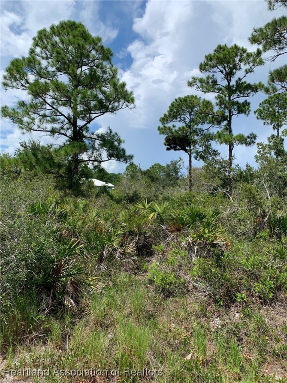 Property Photo: 225 Tomahawk Street FL 33852