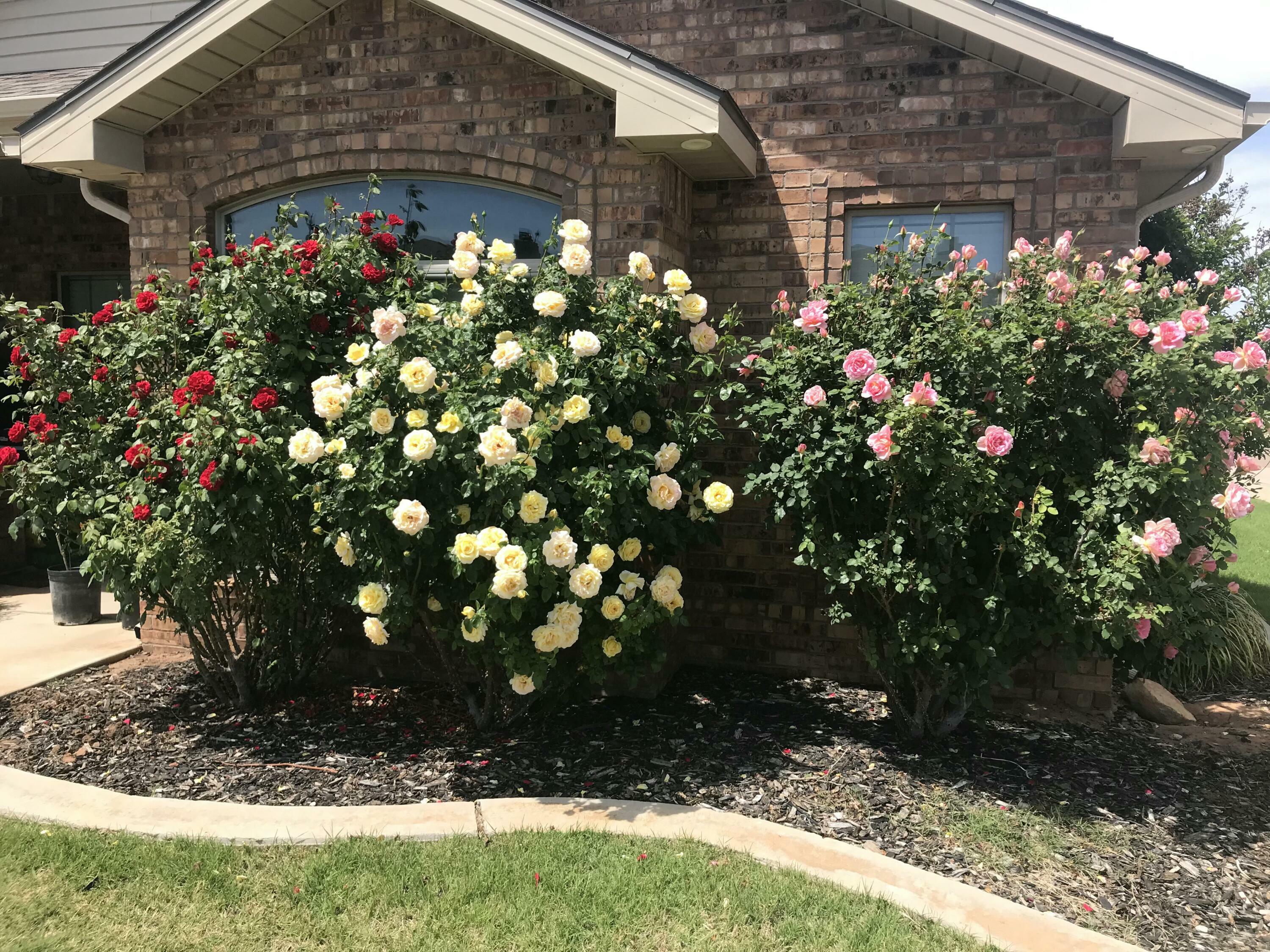 Property Photo: 5728 109th Street TX 79424