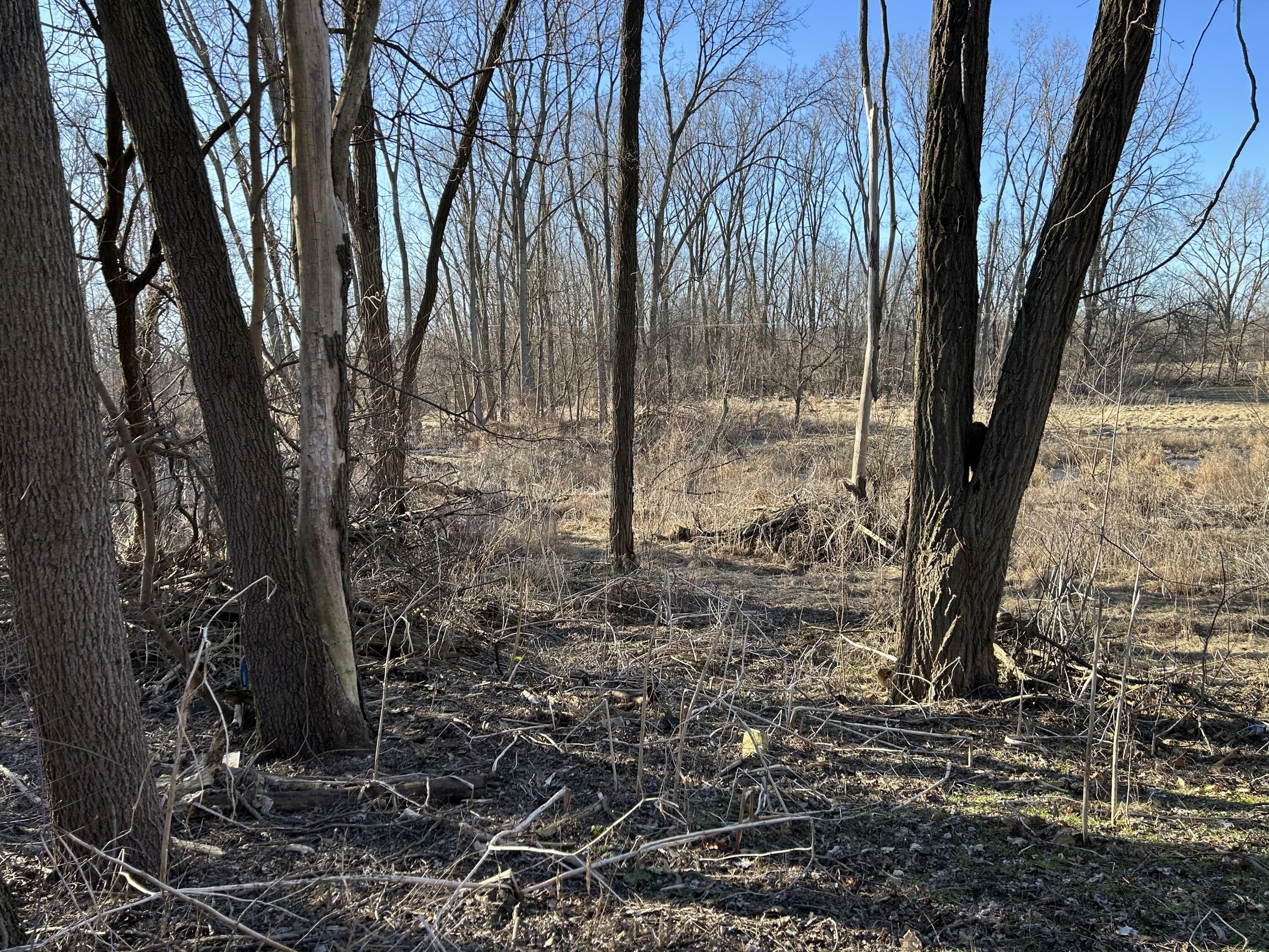 Property Photo: 512 Elm Street MI 49040