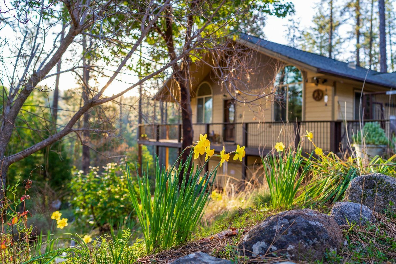 Property Photo: 13032 Hoot Owl Rd CA 95959