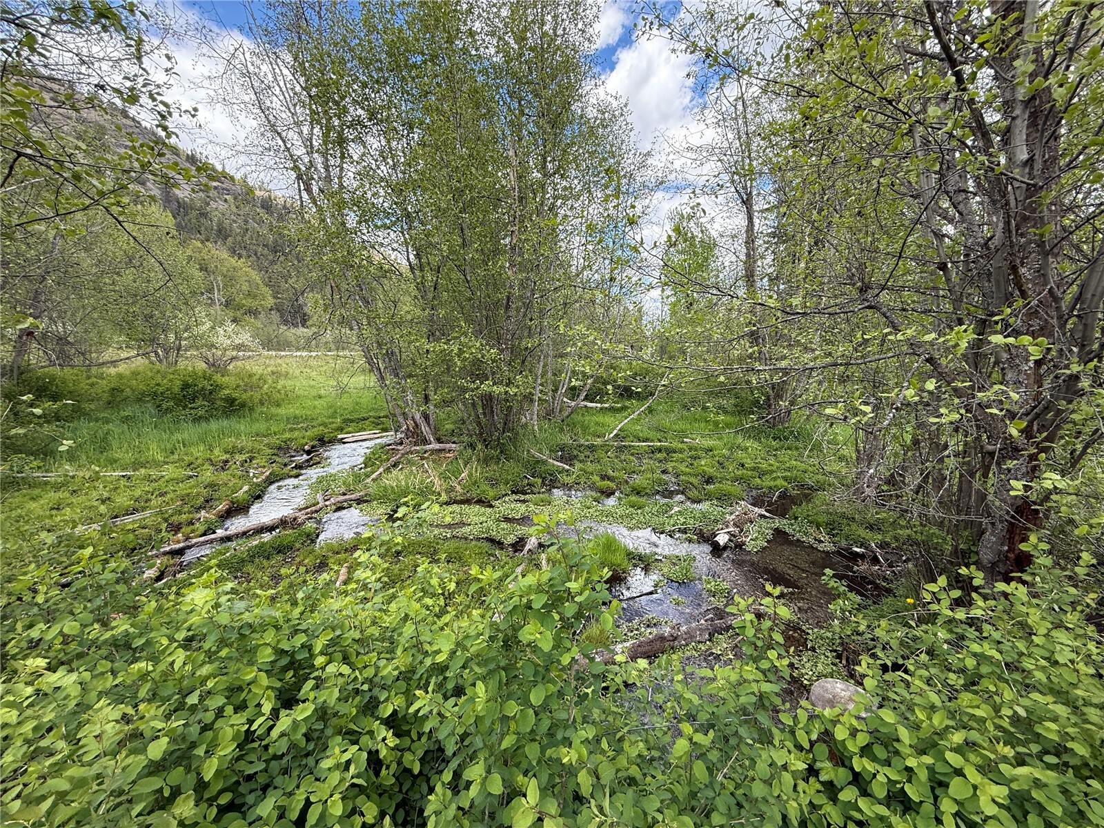 Property Photo: 920 Toroda Creek Road WA 98859