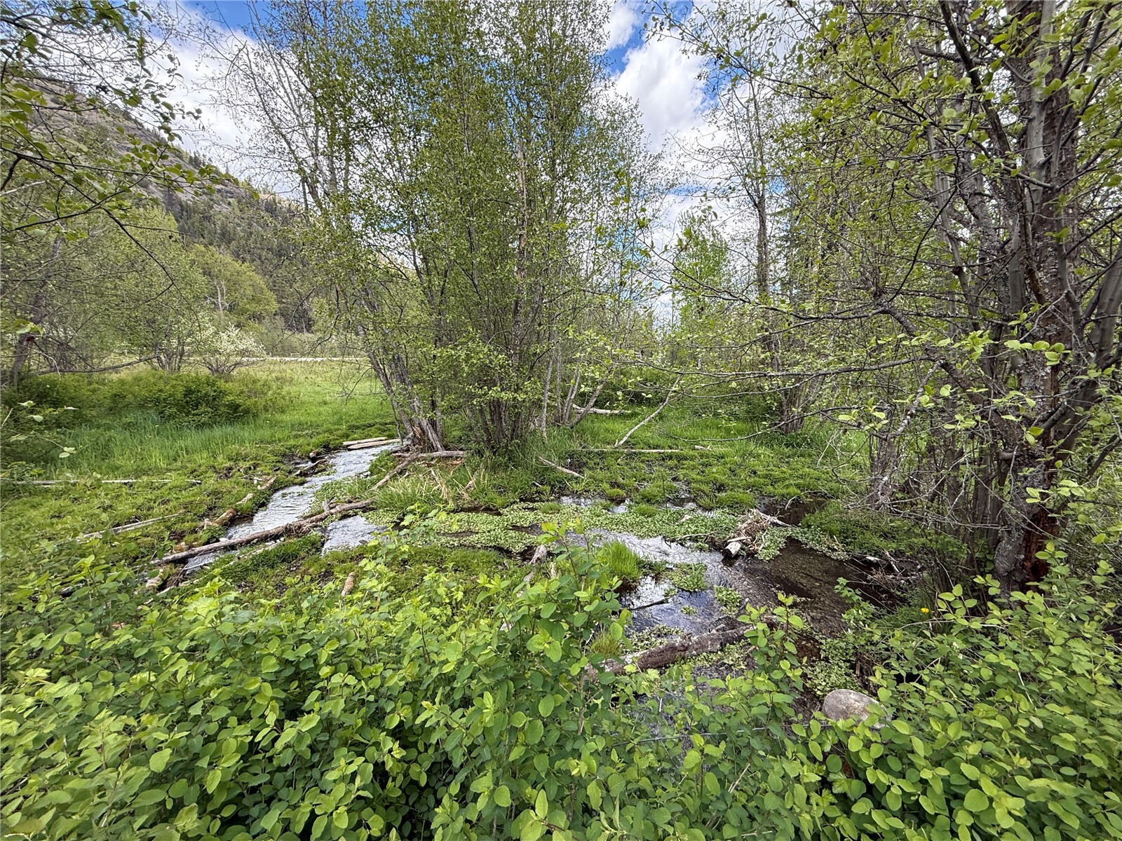 Property Photo: 920 Toroda Creek Road WA 98859