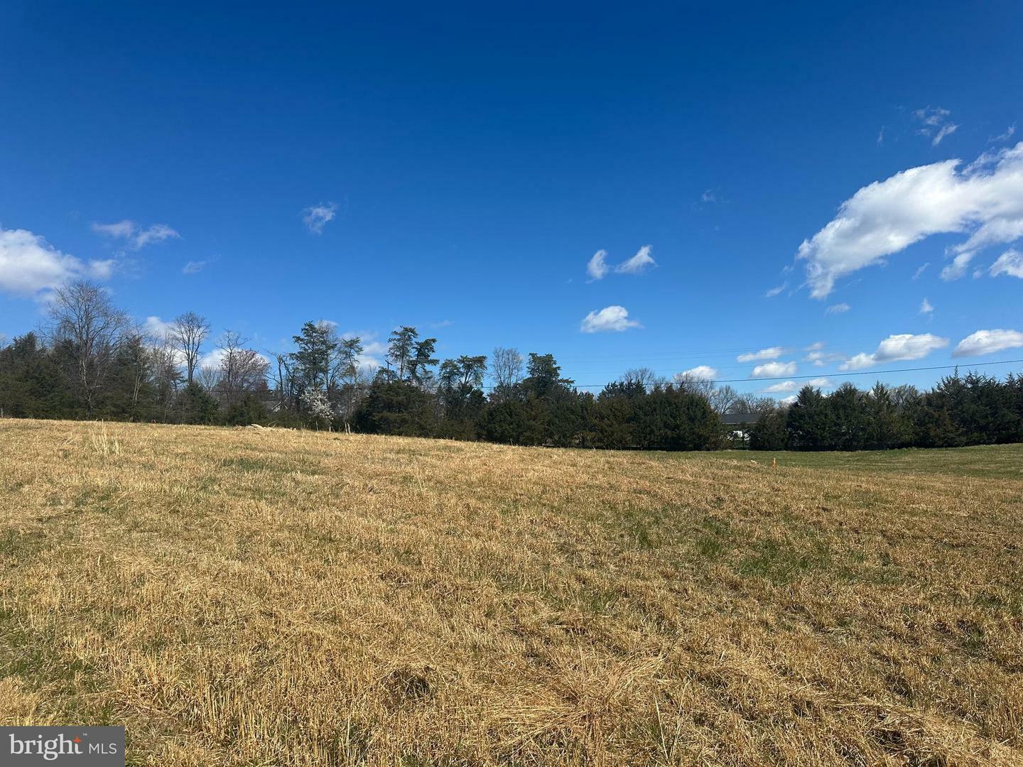 Property Photo: Lot C Russ Johnson Road VA 22630