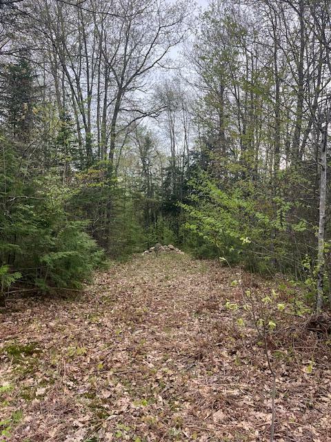 Property Photo: Lot 22 Taylor Woods Road ME 04217