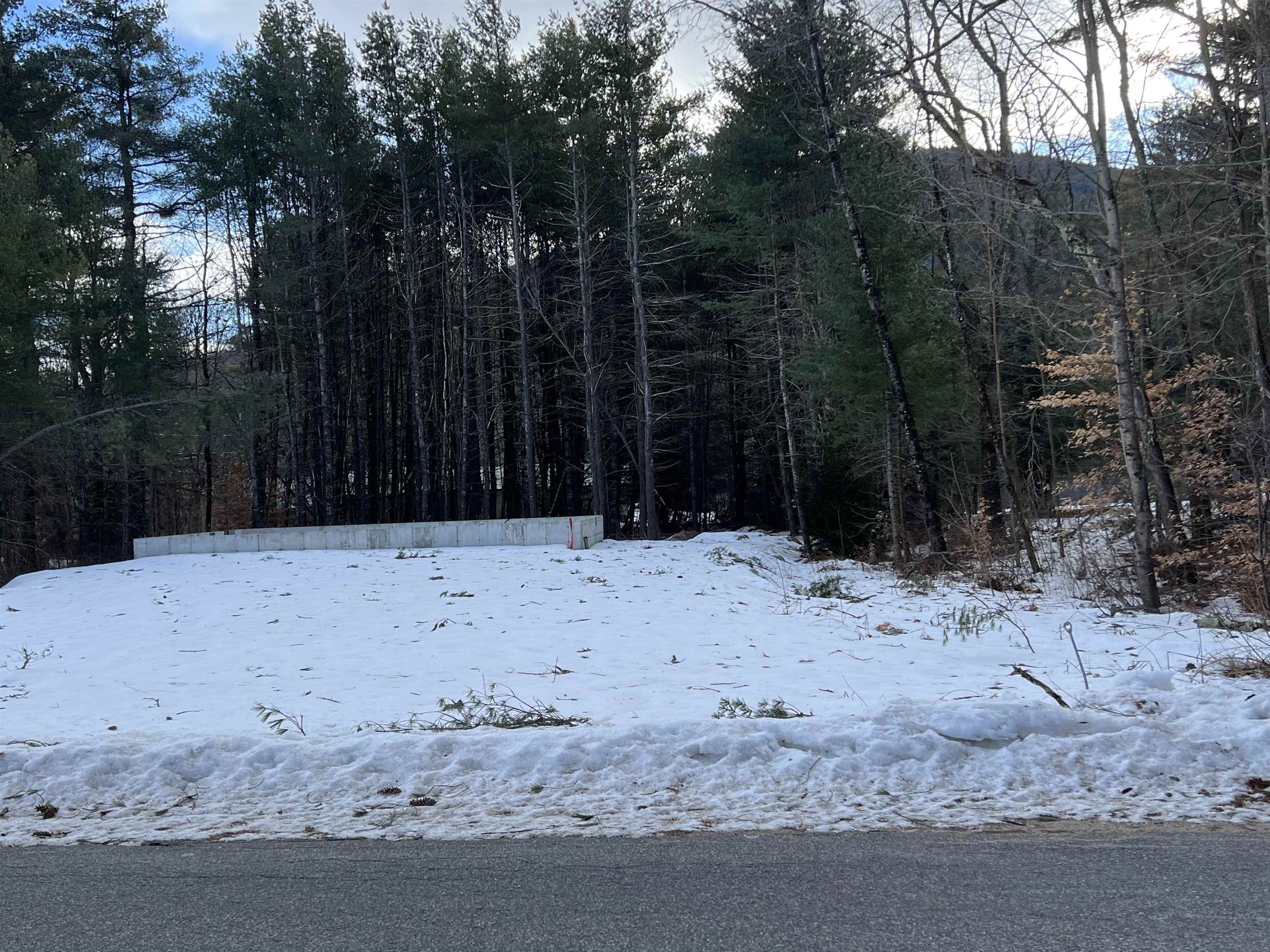 Property Photo:  498 Whittier Road  NH 03886 