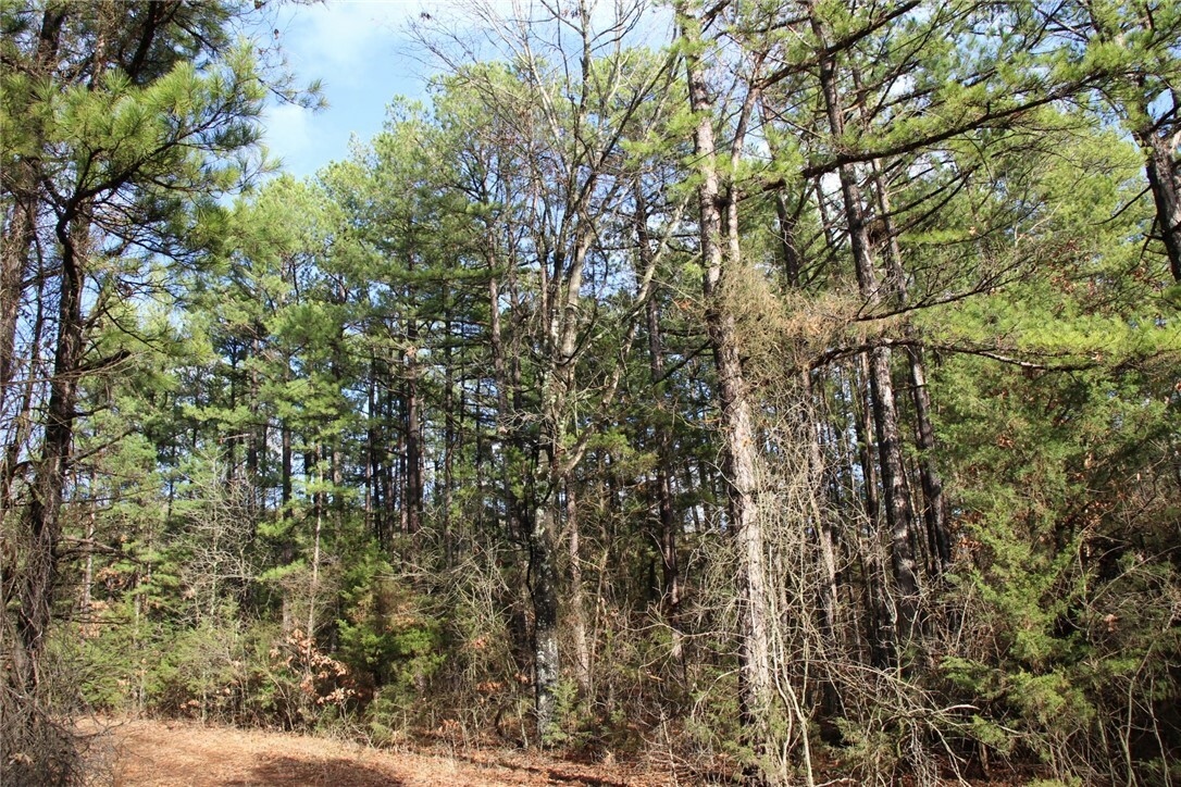 001-04155-000 Mc 6011  Yellville AR 72687 photo