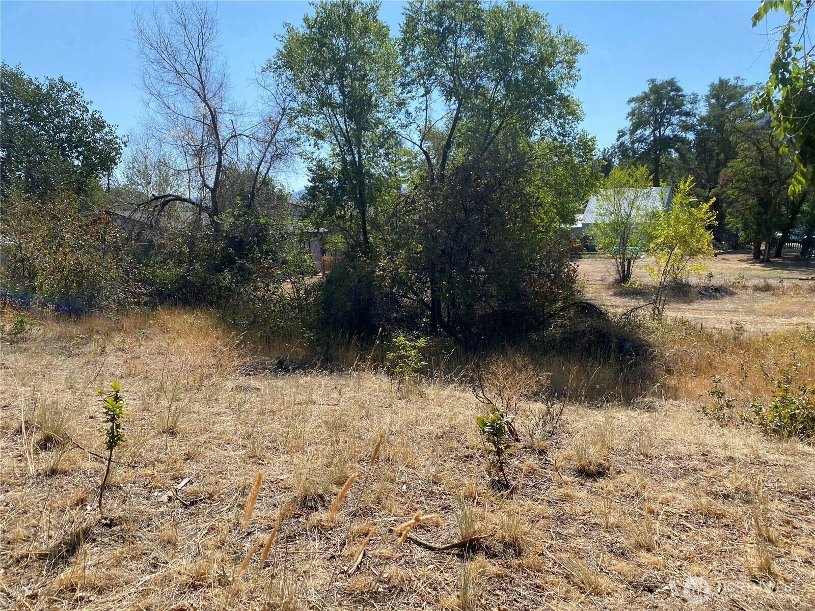 Property Photo: 1226 Riverside (New Parcel B) Avenue WA 98856
