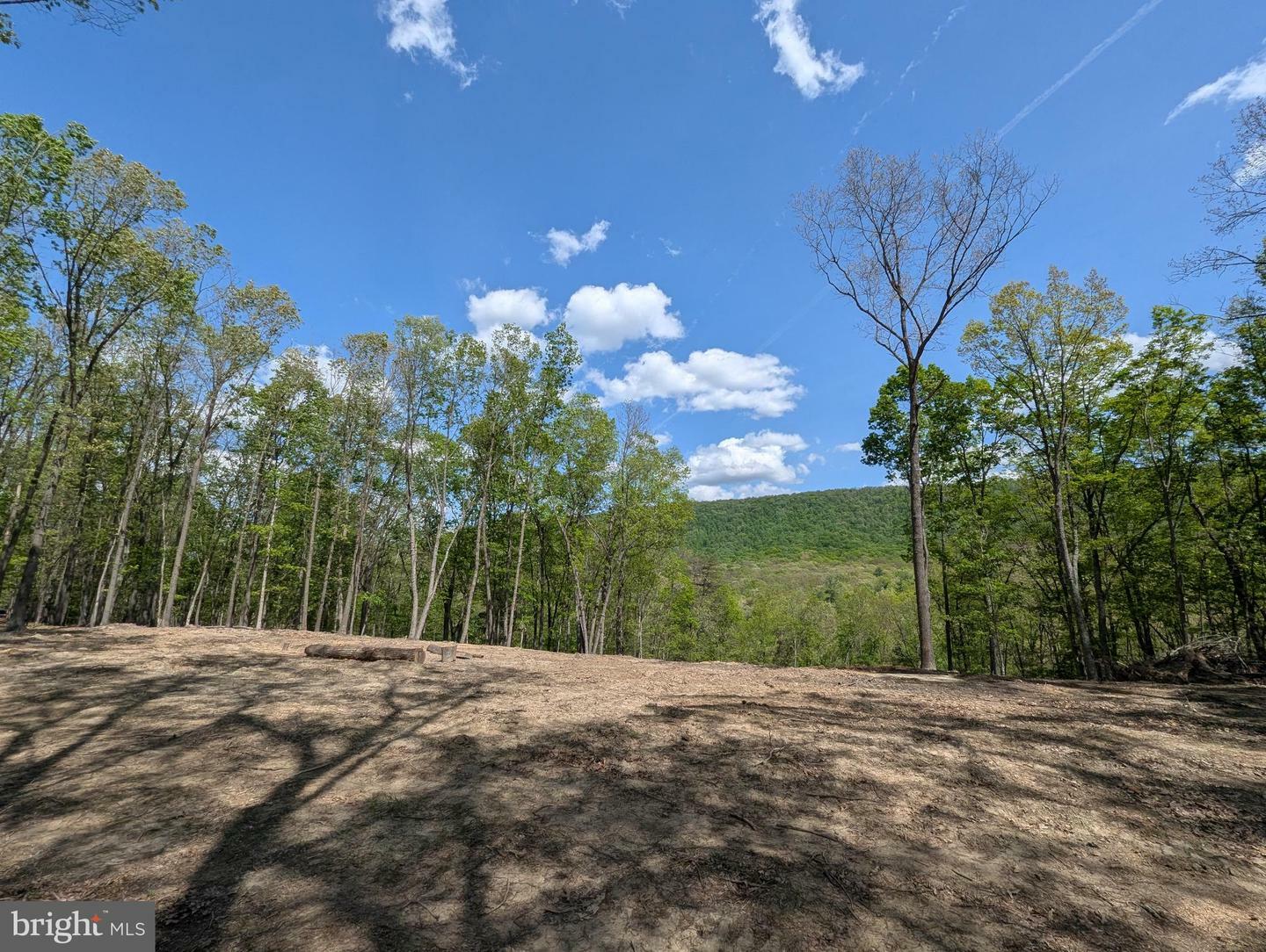 Property Photo:  Lot 20 Otter Creek Drive  WV 25420 