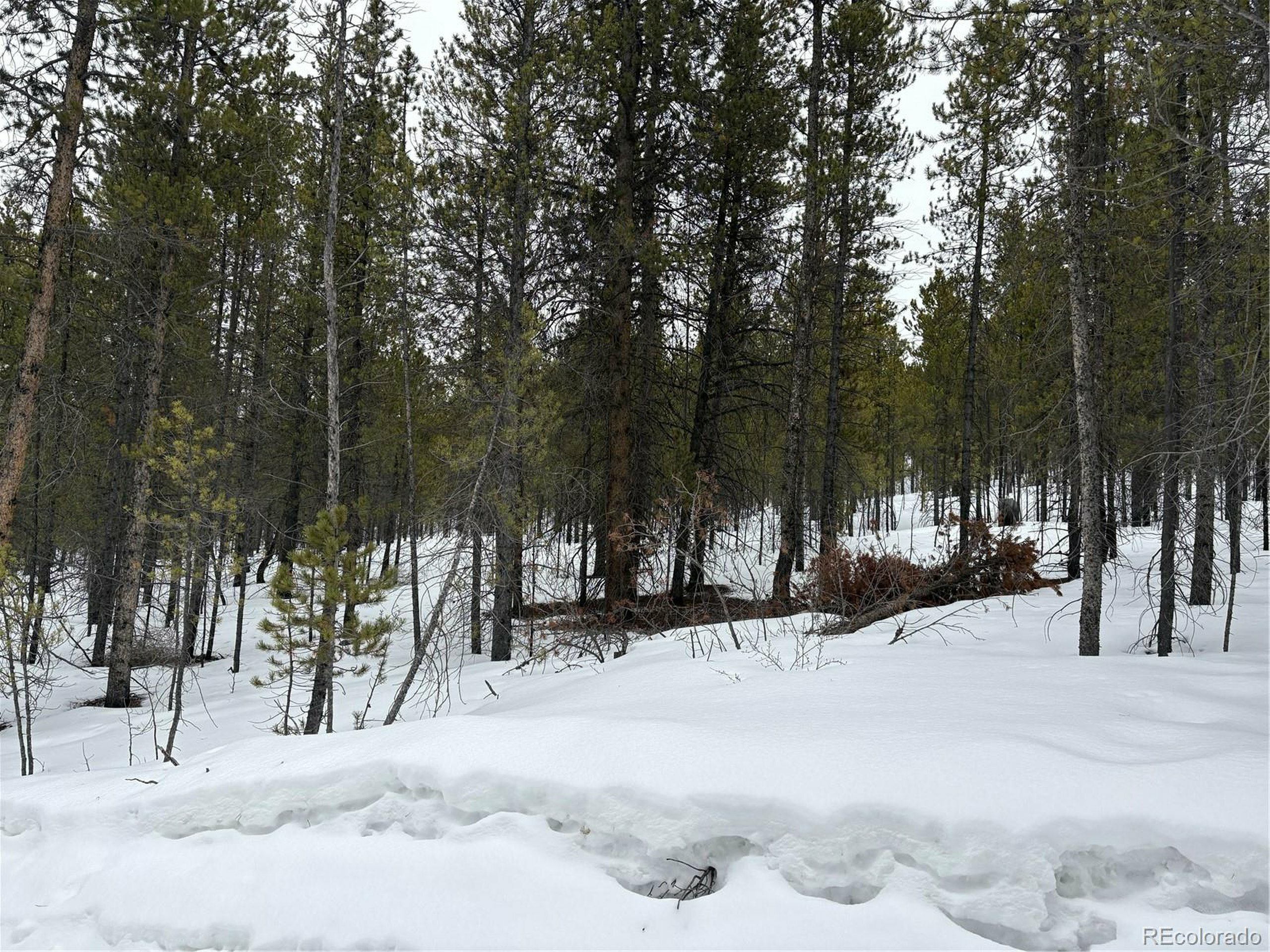 Property Photo:  