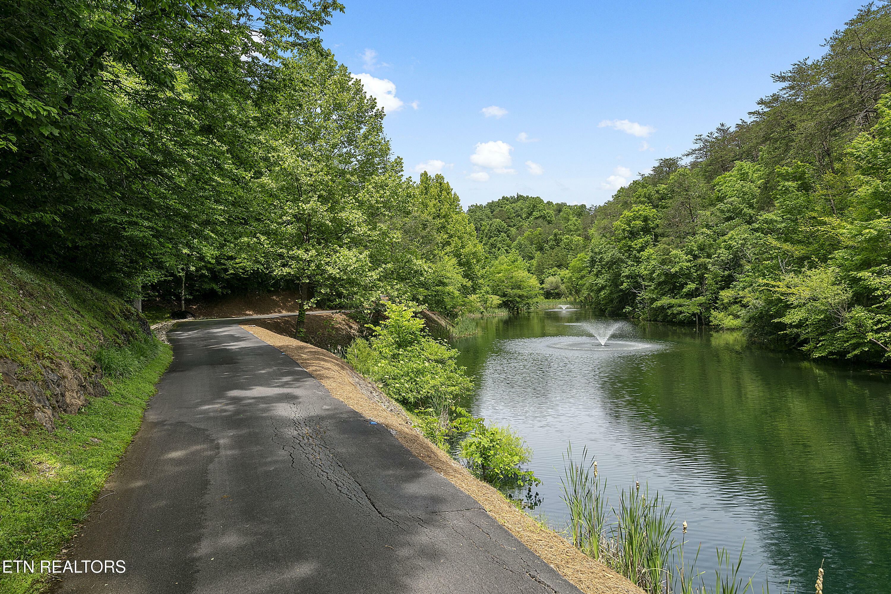 Property Photo: 255 N Ridge Rd TN 37876
