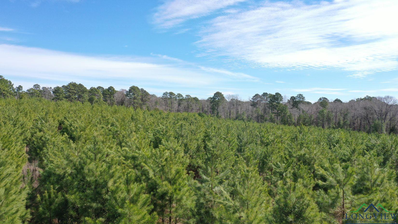 Property Photo: 0003 Cr 1115 TX 75551