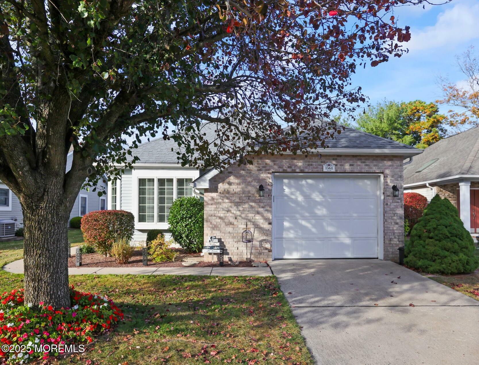 1564 Lacebark Road  Toms River NJ 08755 photo