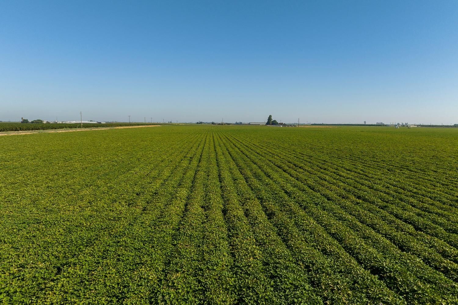 Property Photo:  15490 Atwater Jordan Road  CA 95334 