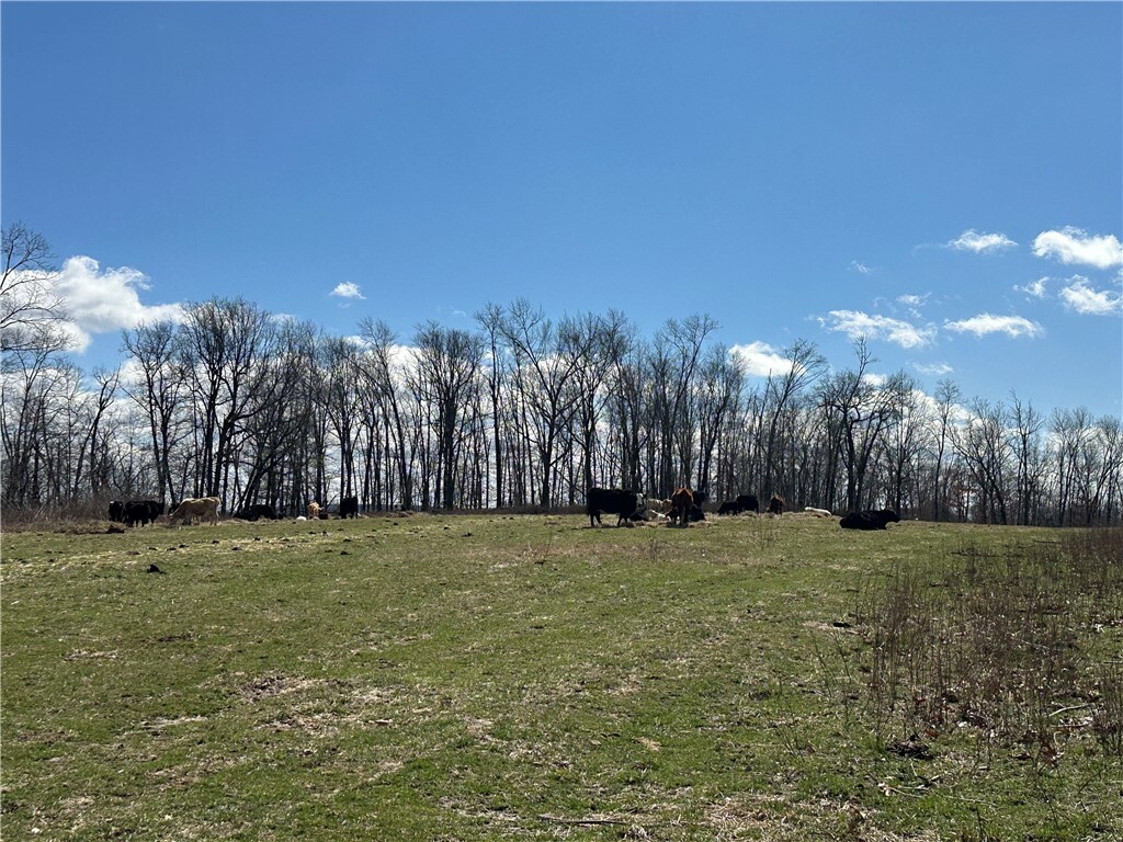 Property Photo: Tbd County Road 731 AR 72616