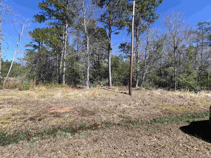 Property Photo: Tbd Laird Rd. TX 77625