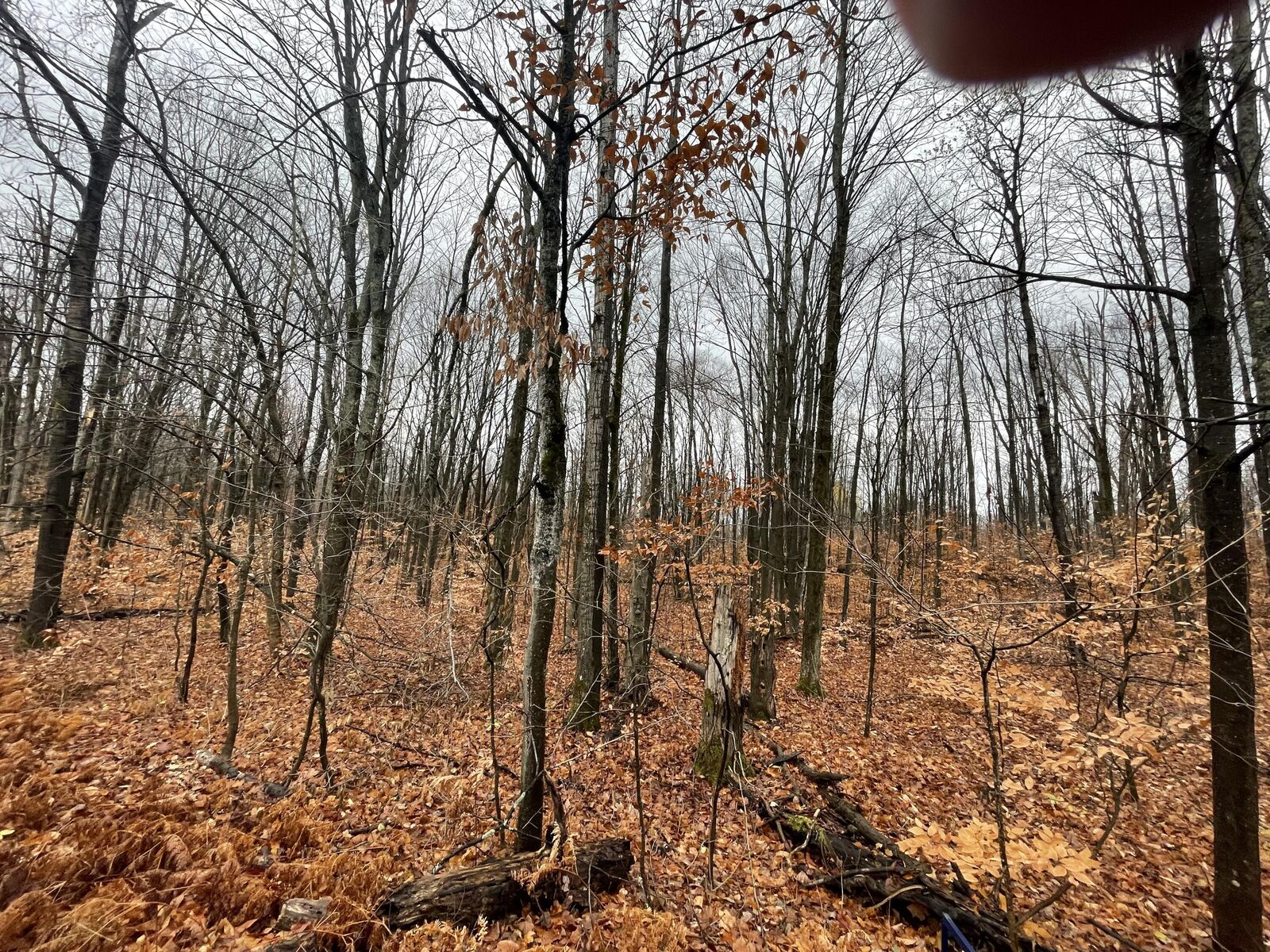 Property Photo:  Lot 281 Acacia Drive  MI 49659 