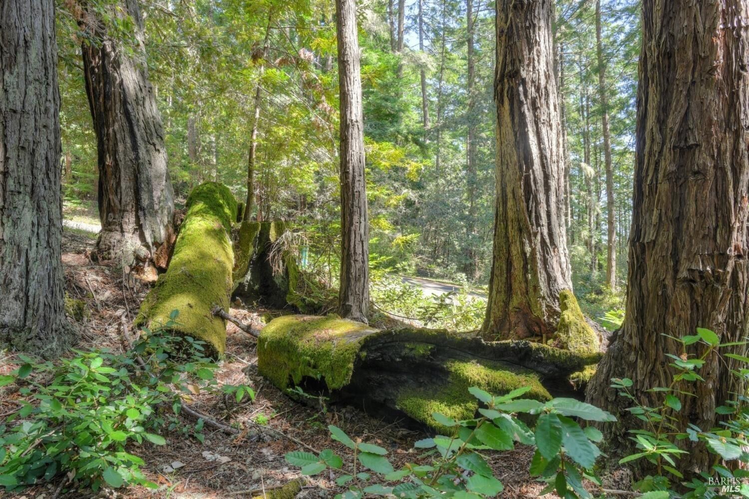 Property Photo:  335 Deerfield  CA 95497 