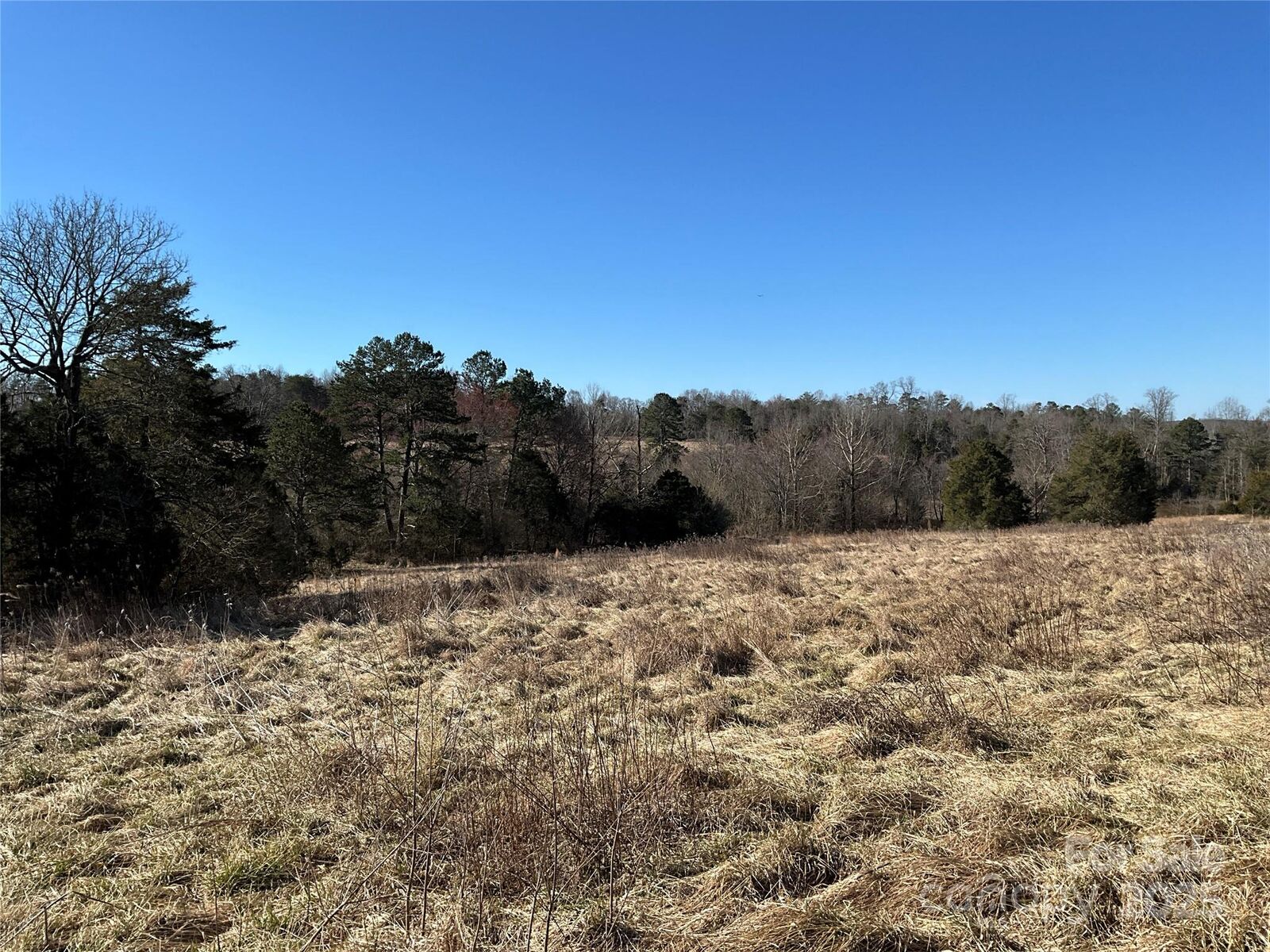 Property Photo:  11.75 Acres Sulphur Springs Road  NC 28678