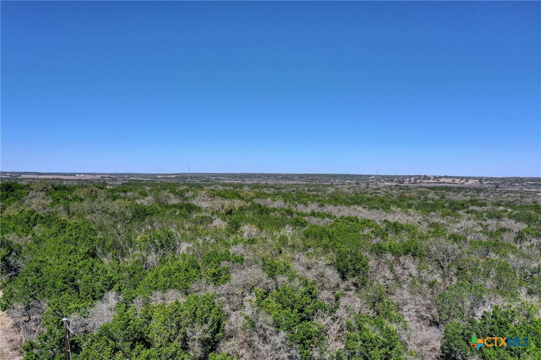 Property Photo:  1110 Wildwood Crossing  TX 78633 