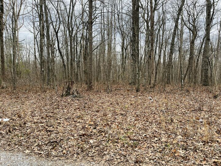 Property Photo: 59 Morgan Circle TN 38572