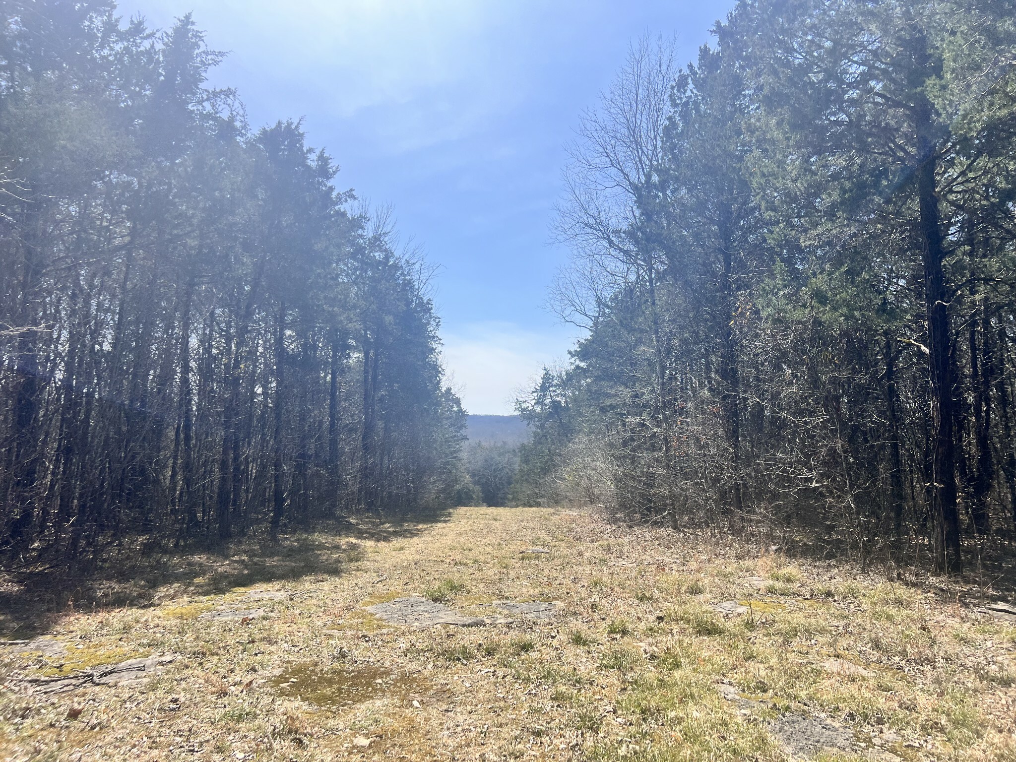 Property Photo: 1 Browns Mill Rd TN 37085