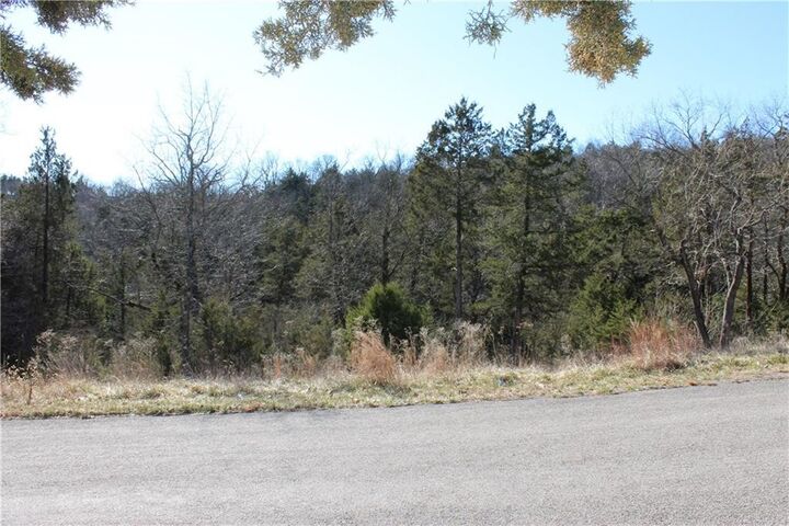 15 Deer Run Drive 115  Holiday Island AR 72631 photo