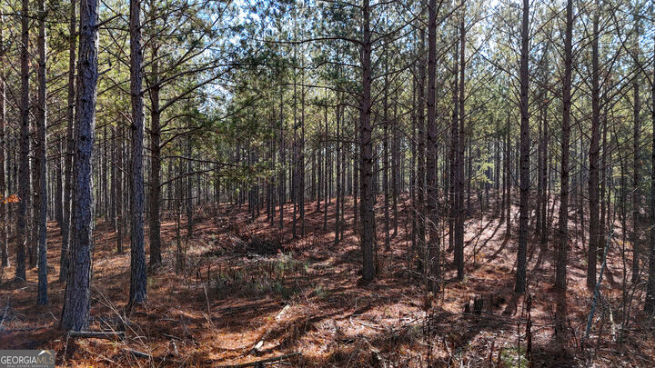 Property Photo:  32 Acres On Bac Tract 14  GA 30730 