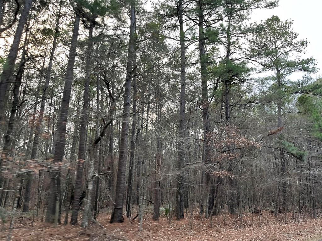 Property Photo: Lot (2) 0 Hwy 454 Highway LA 71360