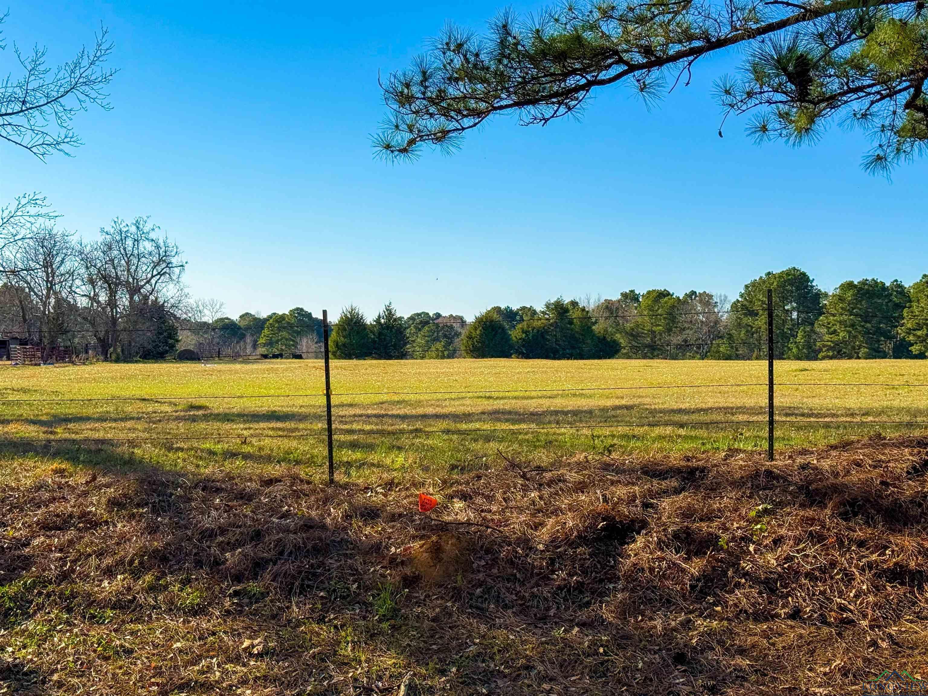 Tbd Fm 555  Gilmer TX 75645 photo