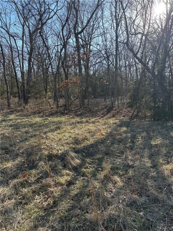 22ac Gann Ridge Road  Garfield AR 72732 photo