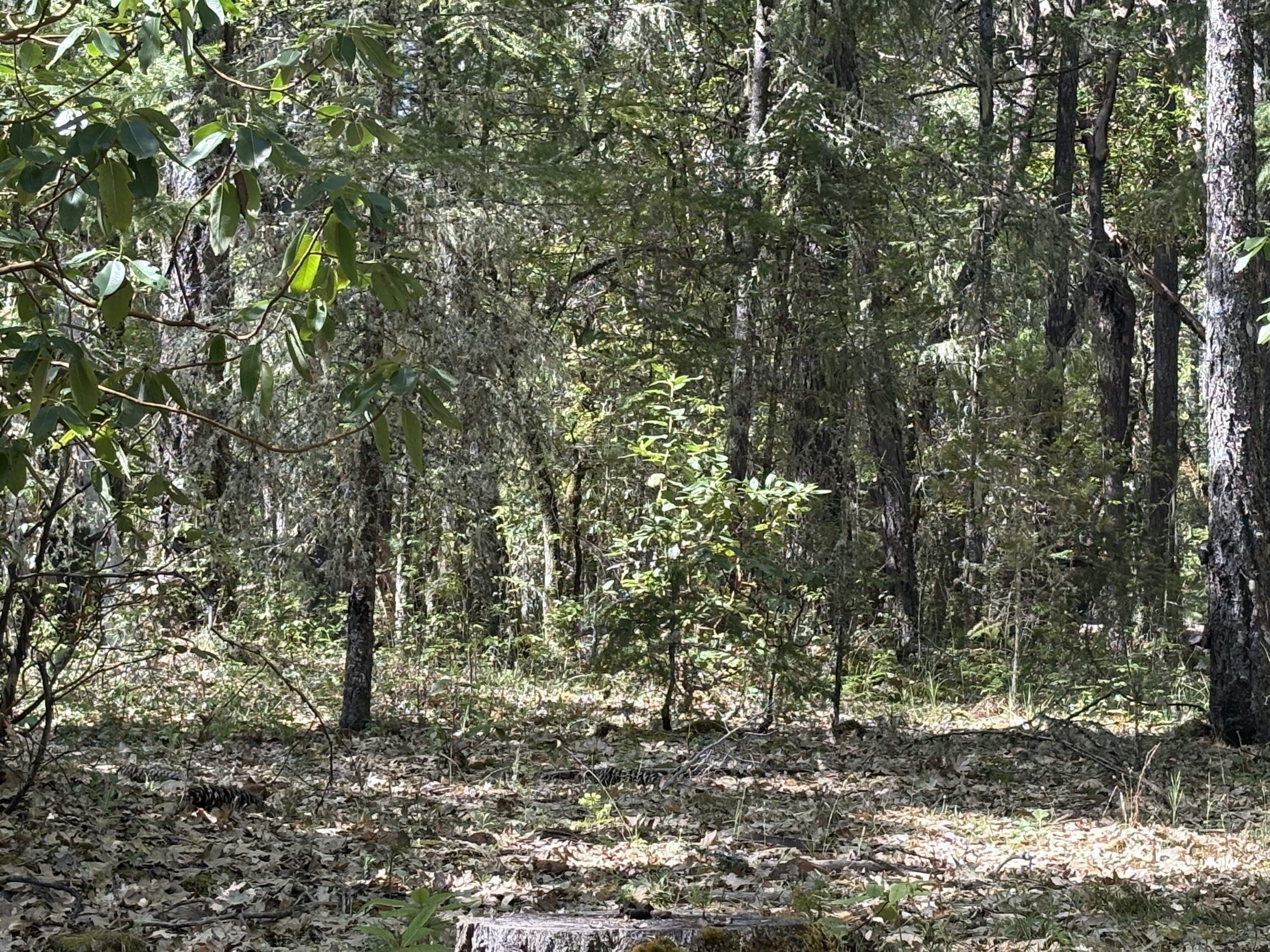 Property Photo: 1927 Southside Road OR 97527