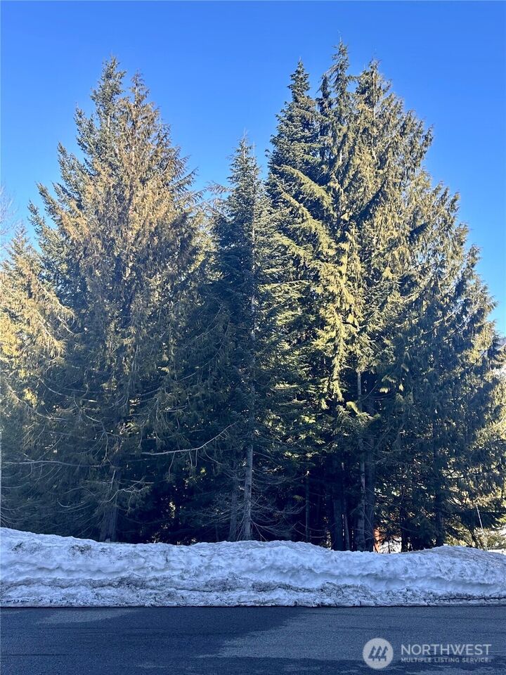 Property Photo: 0 - Lot 56 Snoqualmie Drive WA 98068