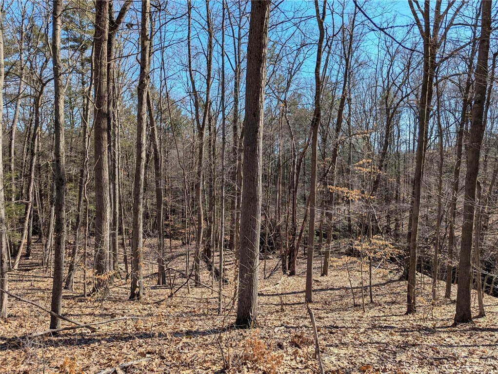 Property Photo: Elmira Road NY 14867