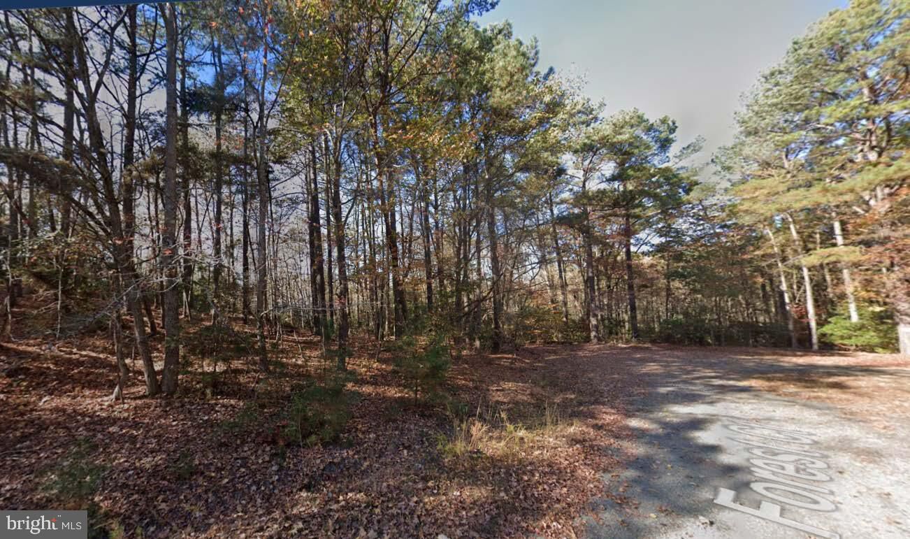 Property Photo:  Lot 57 Forest Court  VA 22520 