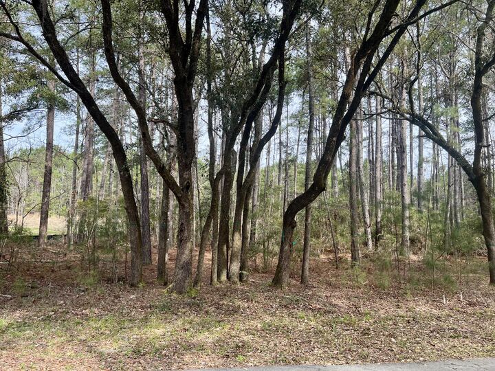 Property Photo:  237 Founders Oak Way  SC 29945 