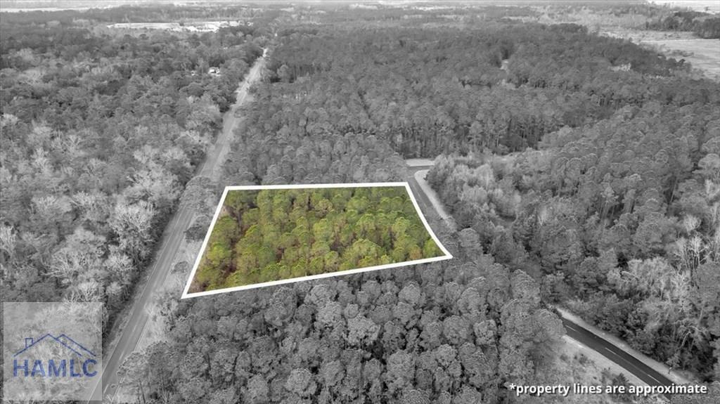 Property Photo: Lot 83 Fiddlers Cove GA 31331
