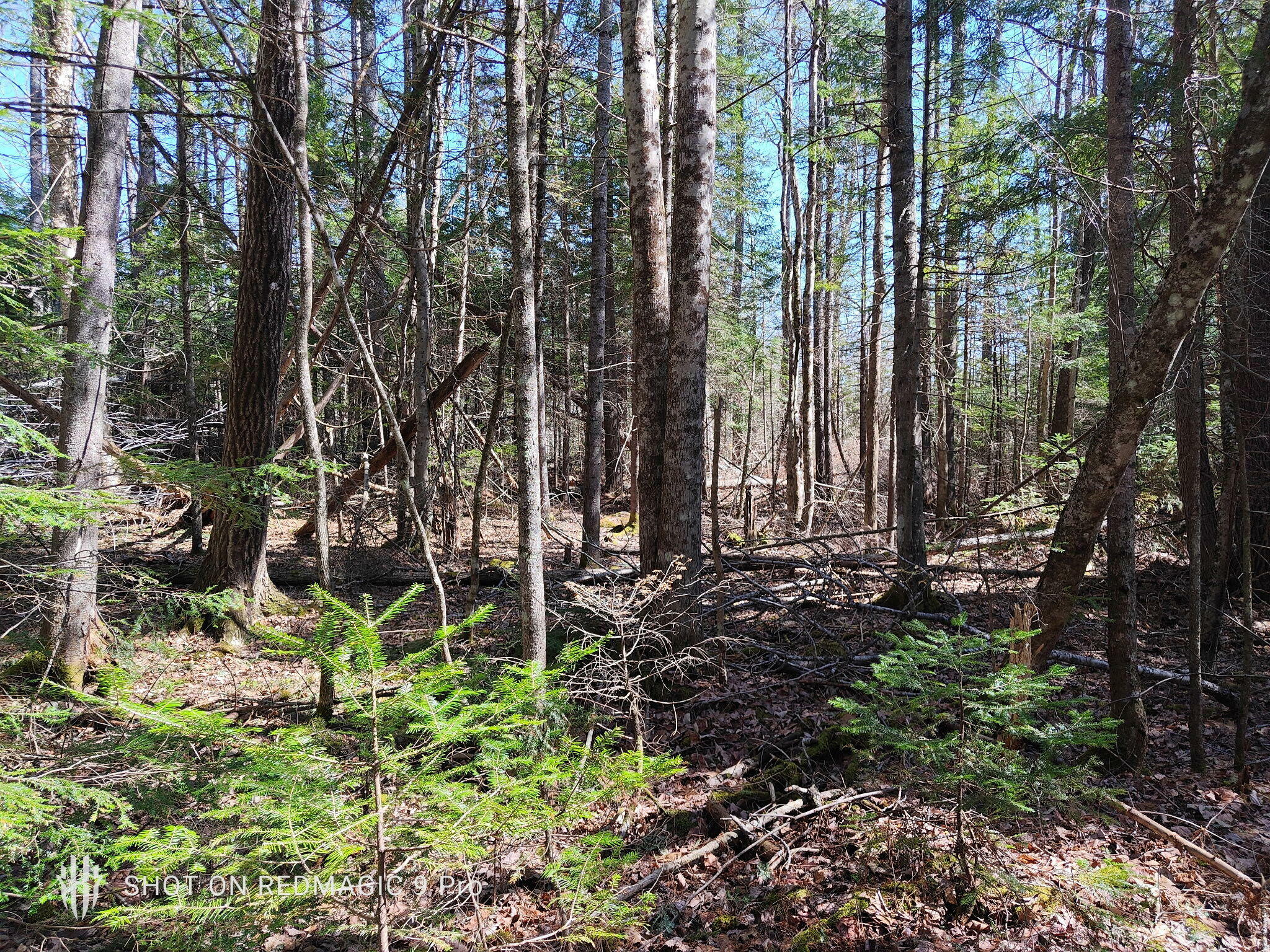Property Photo: R1 38.1 Parsons Road ME 04281