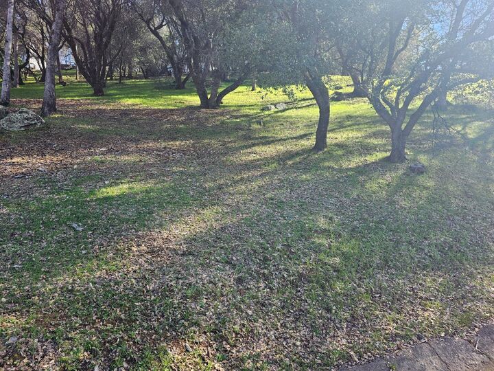 11839 Warbler Way  Penn Valley CA 95946 photo