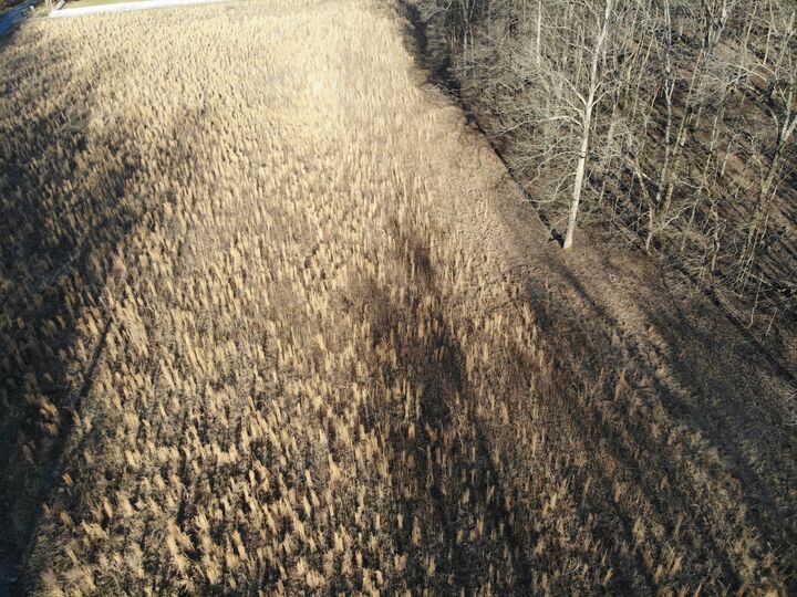 Property Photo:  1 Cox Hollow Rd  TN 37058 
