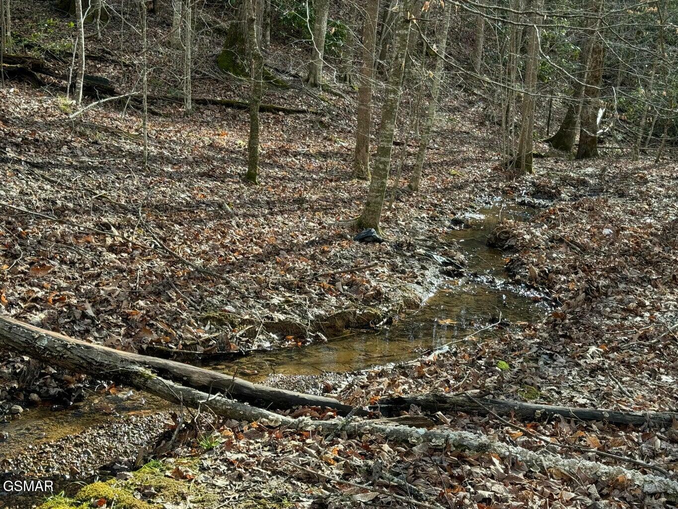 Property Photo:  714 Pinnacle Vista Rd Lot 27  TN 37738 