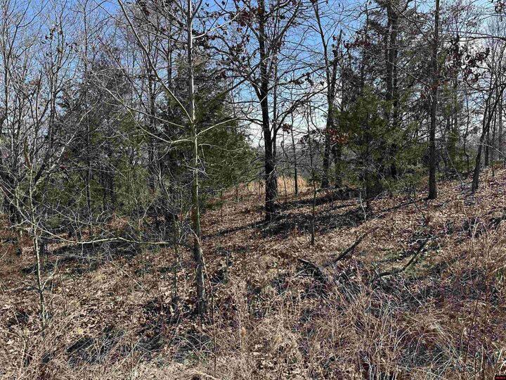 Property Photo: Lot 2 Deer Meadows Lane AR 72687