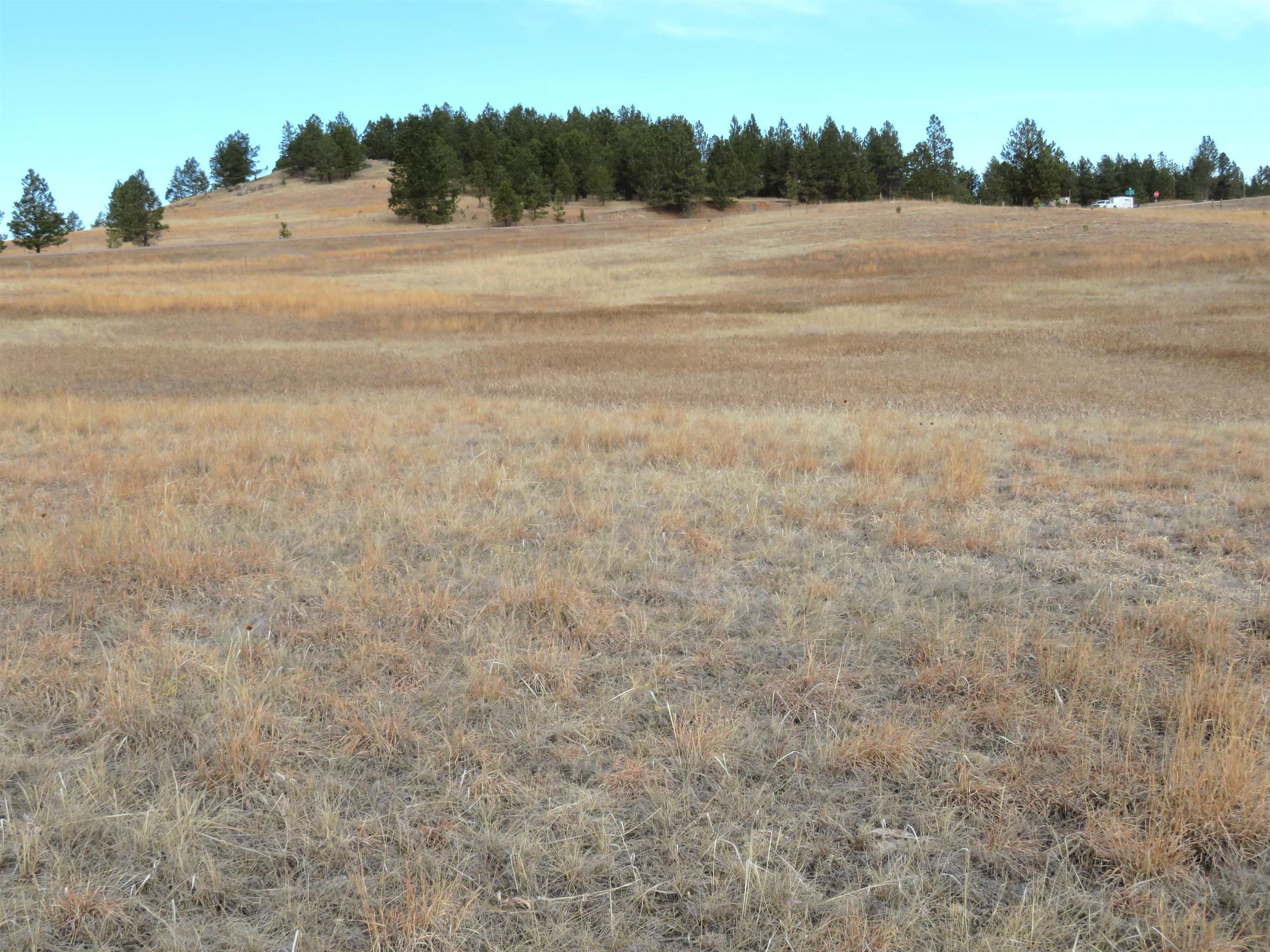 Property Photo: Lot 10 Lonesome Dove Street SD 57730
