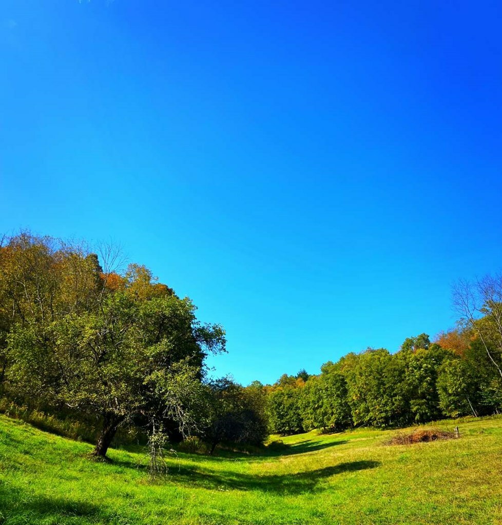 Property Photo: 28 Hill Hollow Rd PA 16922