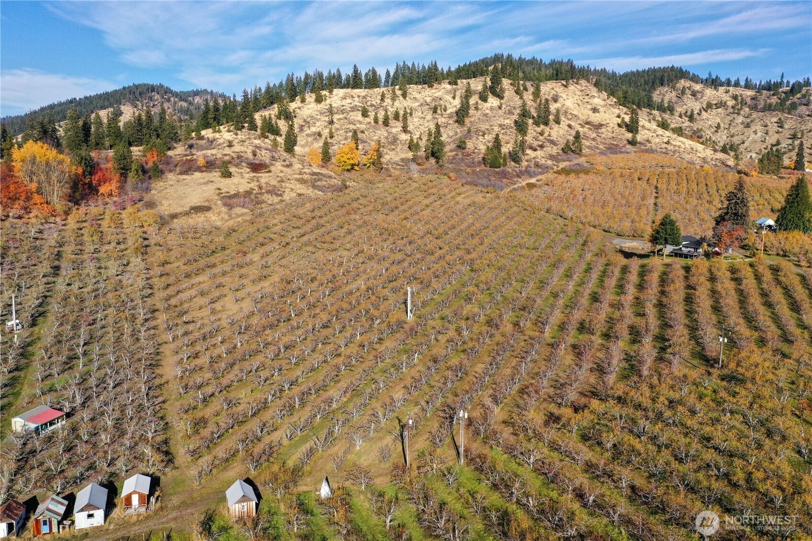 Renault - Alzey - Ludwig Hill Gmbh MLS#2344746: 1 Ludwig Hill Rd, Peshastin, WA 98847