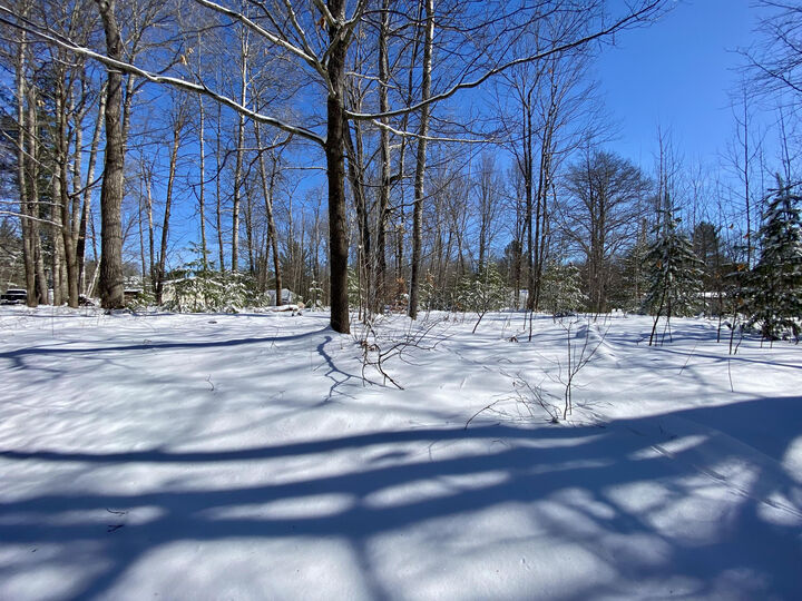 Property Photo:  Lots 41&Amp42 Mallard Trail  MI 49735 