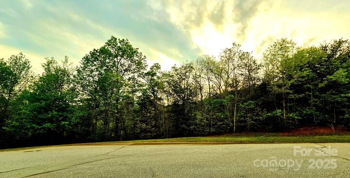 Property Photo: Lot 59 Bear Cliff Way NC 28746