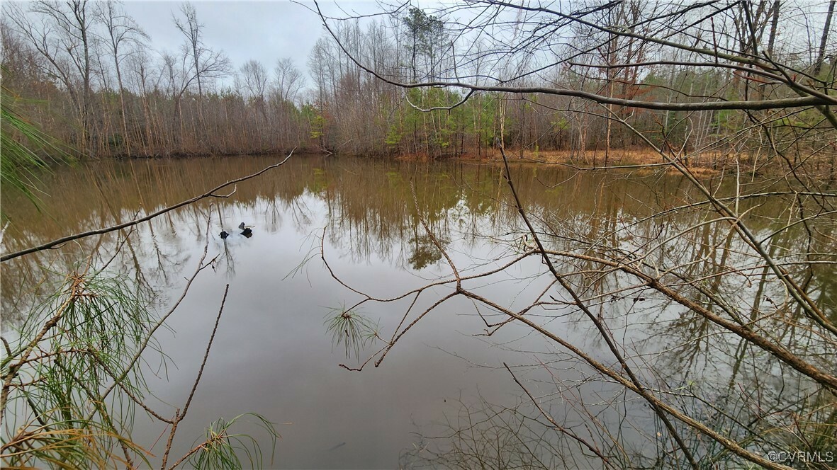 Property Photo: Tbd Flat Rock Road VA 23821