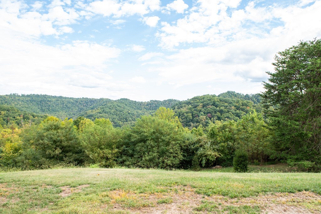 Property Photo:  Lot 41 Mountainview Court  KY 41501 