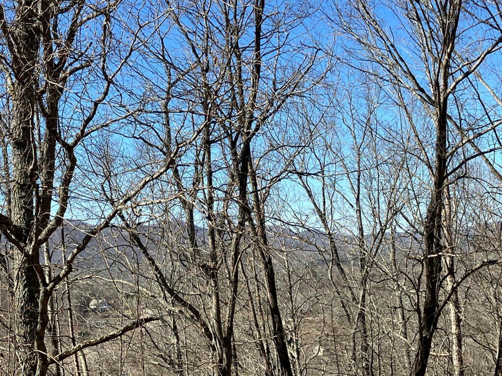 Property Photo: Lot 4 Mirandi Drive NC 28909